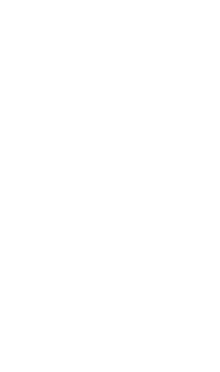 Roi Renard