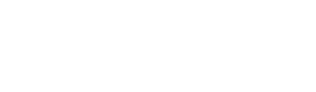 Roi Renard